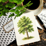 American Sycamore Tree - Custom Note Cards - The Punctilious Mr. P's Place Card Co.