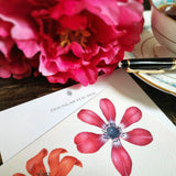 Anemones - Custom Note Cards - The Punctilious Mr. P's Place Card Co.