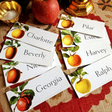 Apple Medley - Custom Place Cards - Oblong - Laydown - The Punctilious Mr. P's Place Card Co.