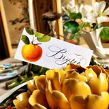 Apple Medley - Custom Place Cards - Oblong - Laydown - The Punctilious Mr. P's Place Card Co.