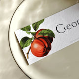 Apple Medley - Custom Place Cards - Oblong - Laydown - The Punctilious Mr. P's Place Card Co.