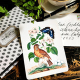 Birds, Berries and Butterflies - Pack of Custom Note Cards - The Punctilious Mr. P's Place Card Co.