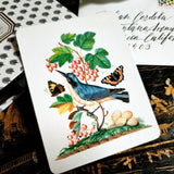 Birds, Berries and Butterflies - Pack of Custom Note Cards - The Punctilious Mr. P's Place Card Co.