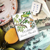 Birds of India - Custom Bookplate - The Punctilious Mr. P's Place Card Co.