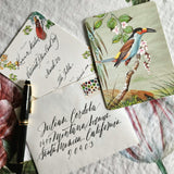 Birds of India - Custom Invitations s/4 - The Punctilious Mr. P's Place Card Co.