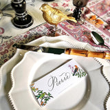 Birds of India - Custom Place Cards - Laydown - The Punctilious Mr. P's Place Card Co.