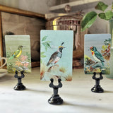 Birds of India - Custom Place Cards - Upright - The Punctilious Mr. P's Place Card Co.