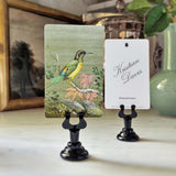 Birds of India - Custom Place Cards - Upright - The Punctilious Mr. P's Place Card Co.
