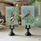 Birds of India - Custom Place Cards - Upright - The Punctilious Mr. P's Place Card Co.