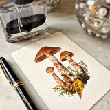 Boletus Beauties - Pack of Custom Note Cards - The Punctilious Mr. P's Place Card Co.