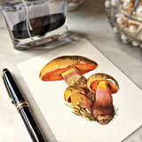 Boletus Beauties - Pack of Custom Note Cards - The Punctilious Mr. P's Place Card Co.