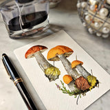 Boletus Beauties - Pack of Custom Note Cards - The Punctilious Mr. P's Place Card Co.