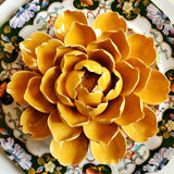Ceramic Blossom - Grand Peony - Citrus - The Punctilious Mr. P's Place Card Co.