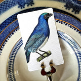 Chromatic Cuckoo - Custom Place Cards - Upright - The Punctilious Mr. P's Place Card Co.