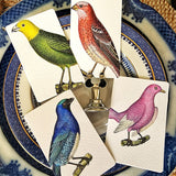Chromatic Cuckoo - Custom Place Cards - Upright - The Punctilious Mr. P's Place Card Co.