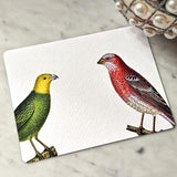 Chromatic Cuckoo - Pack of Custom Note Cards - The Punctilious Mr. P's Place Card Co.
