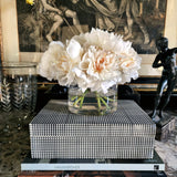 Curio Box - Graph - The Punctilious Mr. P's Place Card Co.