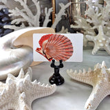 Fiery Mollusks - Custom Place Cards - Upright - The Punctilious Mr. P's Place Card Co.