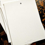 Marian McEvoy: 'Blue Flower' - Note Card Set - The Punctilious Mr. P's Place Card Co.