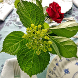 Marian McEvoy: Pressed Poppies - Custom Place Cards - Upright - The Punctilious Mr. P's Place Card Co.