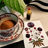 Marian McEvoy: 'Pressed Poppies' Pack of Custom Note Cards - The Punctilious Mr. P's Place Card Co.