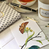 Moth & Twig - Pack of Custom Note Cards - The Punctilious Mr. P's Place Card Co.