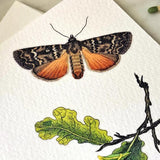 Moth & Twig - Pack of Custom Note Cards - The Punctilious Mr. P's Place Card Co.