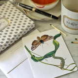 Moth & Twig - Pack of Custom Note Cards - The Punctilious Mr. P's Place Card Co.
