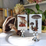 Old Man of the Woods - Custom Place Cards - Upright - The Punctilious Mr. P's Place Card Co.
