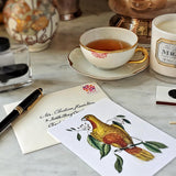 Parakeets - Pack of Custom Note Cards - The Punctilious Mr. P's Place Card Co.