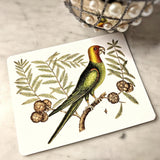 Parakeets - Pack of Custom Note Cards - The Punctilious Mr. P's Place Card Co.