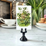 Passerine Birds - Custom Place Cards - Upright - The Punctilious Mr. P's Place Card Co.