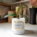 PAX Scented Candle: Lavender - The Punctilious Mr. P's Place Card Co.