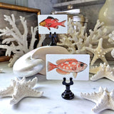 Ravishing Snappers - Custom Place Cards - Upright - The Punctilious Mr. P's Place Card Co.