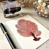 Red Seaweed & Coral - Pack of Custom Note Cards - The Punctilious Mr. P's Place Card Co.