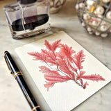 Red Seaweed & Coral - Pack of Custom Note Cards - The Punctilious Mr. P's Place Card Co.