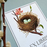 Robin's Eggs - Custom Bookplate - The Punctilious Mr. P's Place Card Co.