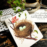 Robin's Eggs - Pack of Custom Note Cards - The Punctilious Mr. P's Place Card Co.
