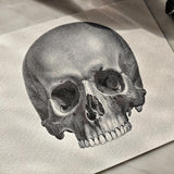 The Skull - Pack of Custom Note Cards - The Punctilious Mr. P's Place Card Co.