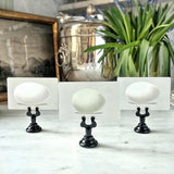 Waterfowl Eggs - Custom Place Cards - Upright - The Punctilious Mr. P's Place Card Co.