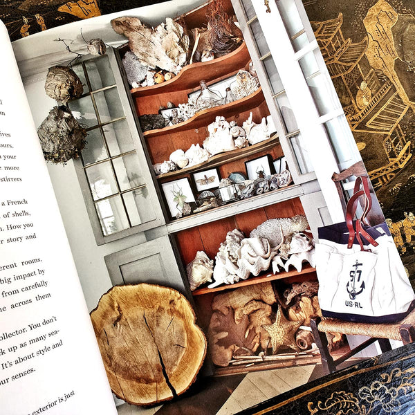 Nora Murphy's Country House Style book showing a cabinet of curiosity cupboard filled with seashells. 