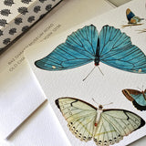 detail of butterfly on  The Punctilious Mr. P's Place Card Co. 'Blue Butterflies' custom Note Cards