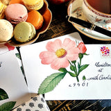 The Punctilious Mr. P's Place Card Co. 'Rose Garden' custom note card pack with a montblanc fountain pen on a cup of tea
