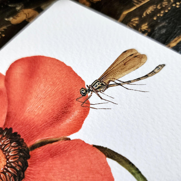 detail of The Punctilious Mr. P's Place Card Co. 'Blossoms' custom note card pack showing a dragonfly