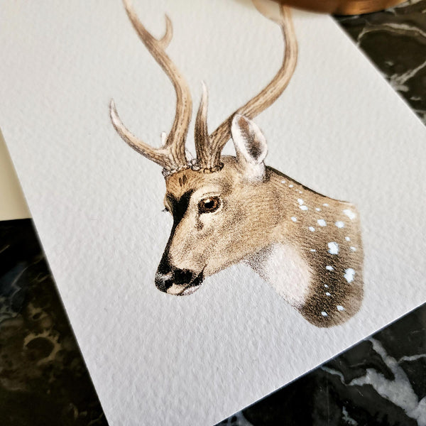 detail of The Punctilious Mr. P's Place Card Co. 'Deer' custom note card pack on a black marble table with signature anthemion note card box and fountain pen and bronze medallion in the background
