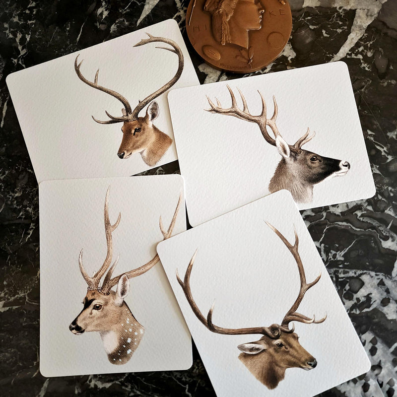showing all 4 of The Punctilious Mr. P's Place Card Co. 'Deer' custom note card pack on a black marble table with signature anthemion note card box and fountain pen and bronze medallion in the background