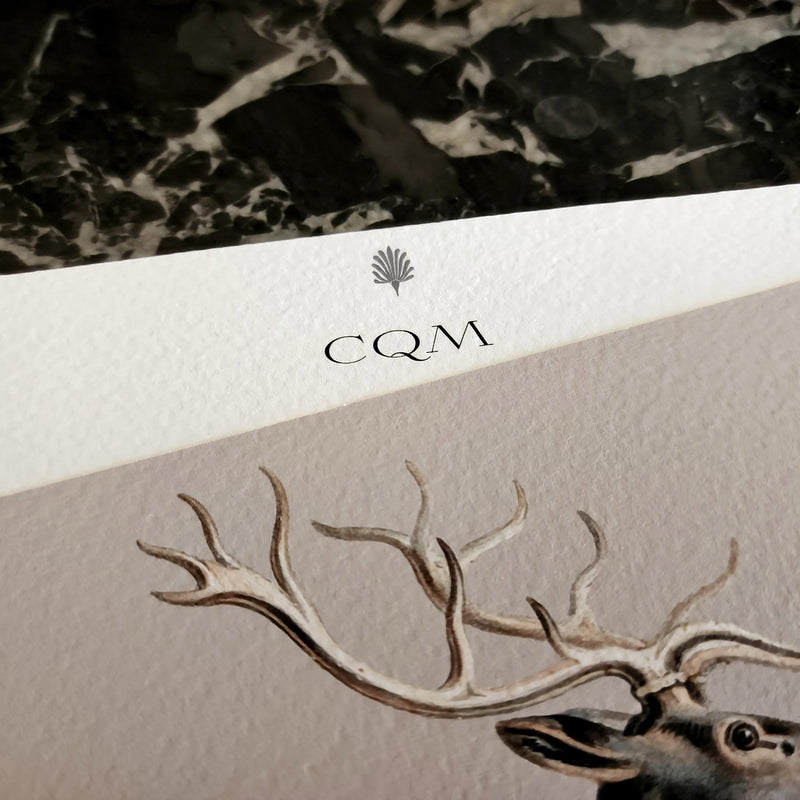 Detail of The Punctilious Mr. P's Place Card Co. custom note card showing personalized name in our larger, fancier font