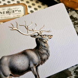 The Punctilious Mr. P's Place Card Co. 'Elk' custom note card pack on a black marble table with signature anthemion note card box and fountain pen and bronze medallion in the background
