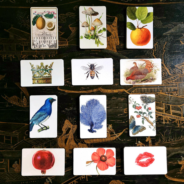 showing The Punctilious Mr. P's Place Card Co. Four Season 12 packs of Place Cards upright  on a chinoiserie table featuring theme such as lemons, mushrooms, apples, crowns, bees, pheasants, birds, seaweed, butterflies, pomegranate and kisses