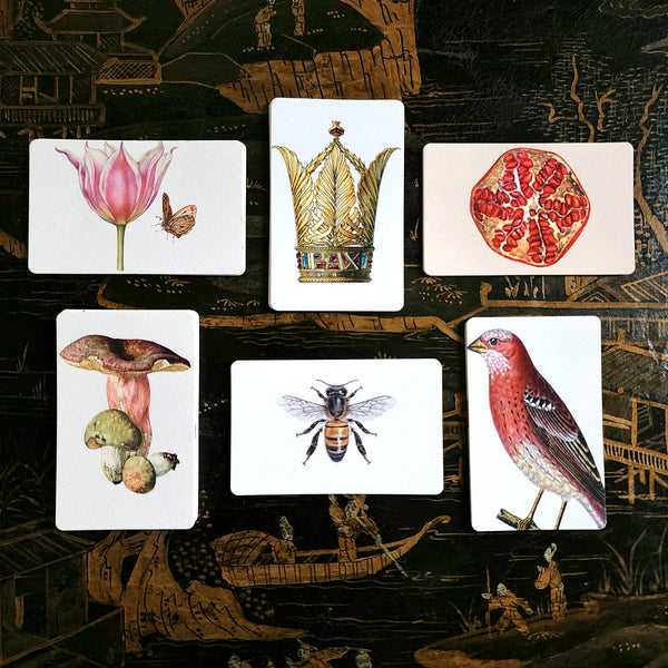 showing The Punctilious Mr. P's Place Card Co. Four Season 6 packs of Place Cards upright on a chinoiserie table featuring theme such as mushrooms, crowns, bees, birds, pomegranate